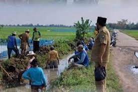 Potensi Infrastruktur dan Irigasi Pertanian